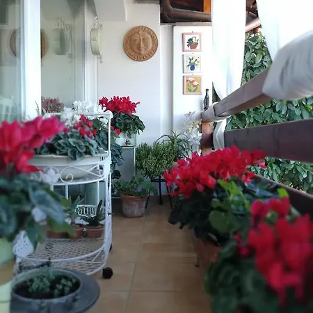 casa di amici-3