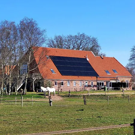 Slaopen en Stoet-2