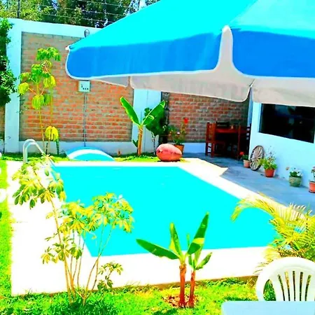 Diamond Monkey Lodge-3