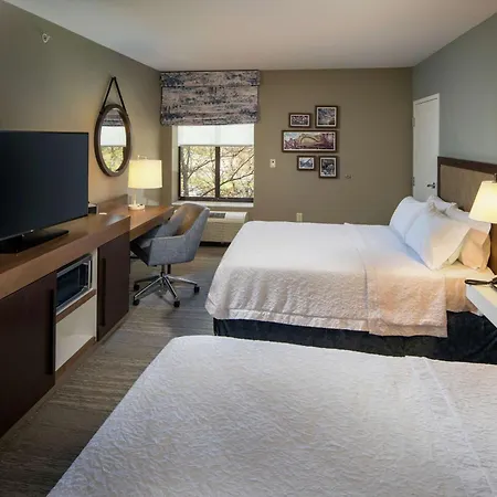 Hampton Inn & Suites Binghamton/Vestal-3