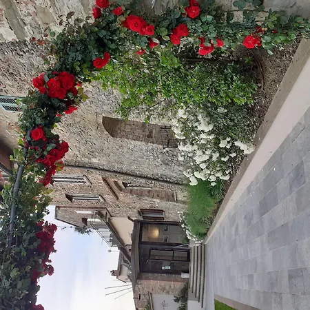 Hotel Le Macine-2