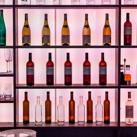 Airport Hotel Basel - Convenient & Friendly-2