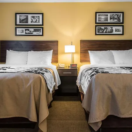 Sleep Inn & Suites Pittsburgh Airport-2