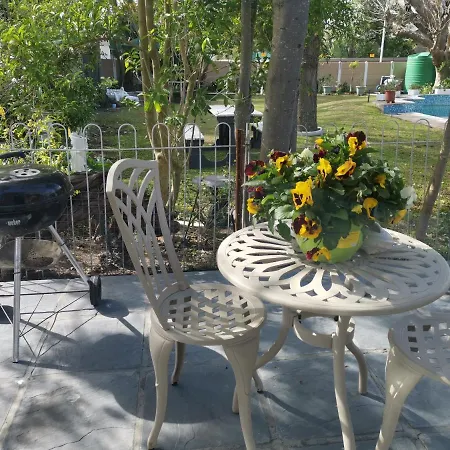 Joy'S Place-2