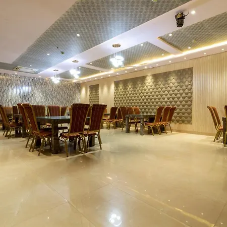 Hotel Tripple Tree - Near Ganga Ram & Blk Hospital - Karol Bagh-2