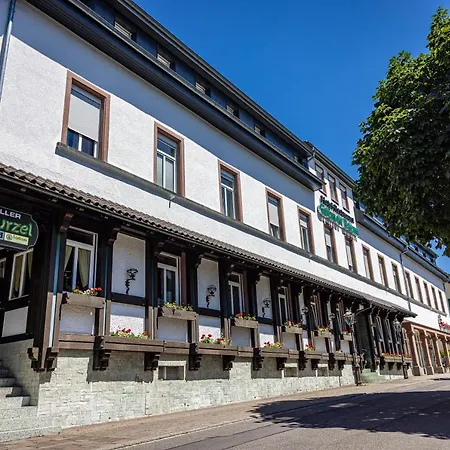 Hotel Grüner Baum-3