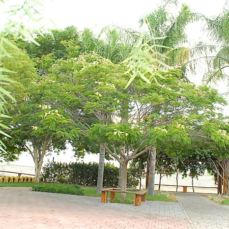 Hotel Flor Da Chapada-3