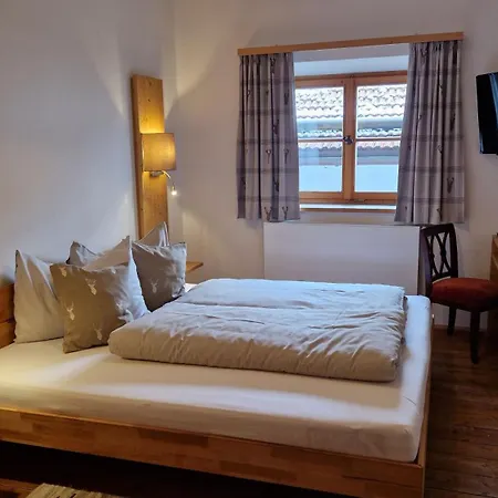 Hotel Landgasthof Alter Wirt-3