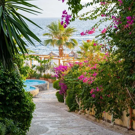 Bougainville Bay Hotel-2