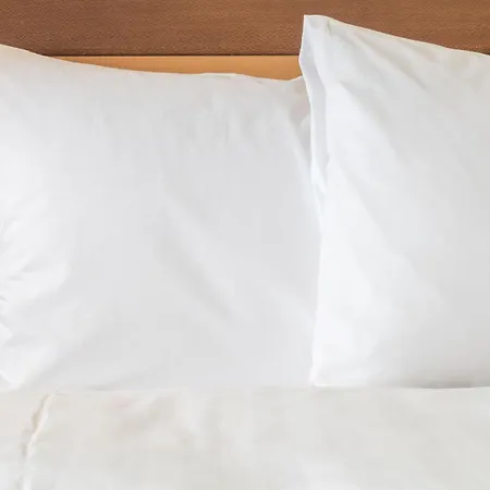 Holiday Inn Express Arnhem By Ihg-3
