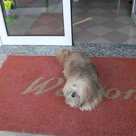 Hotel Storione-2