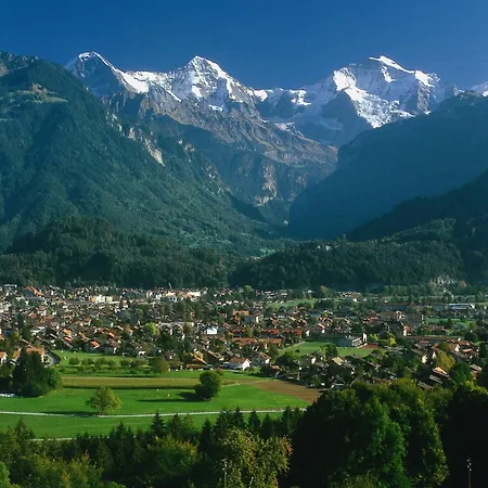 Hotel Alphorn-2
