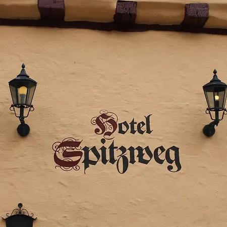 Hotel Spitzweg-3