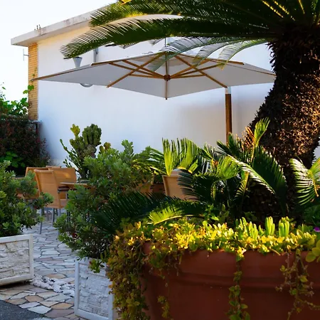 Hotel Garden-2