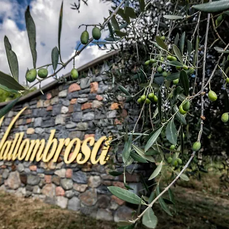 Wine & Art Relais Vallombrosa-2
