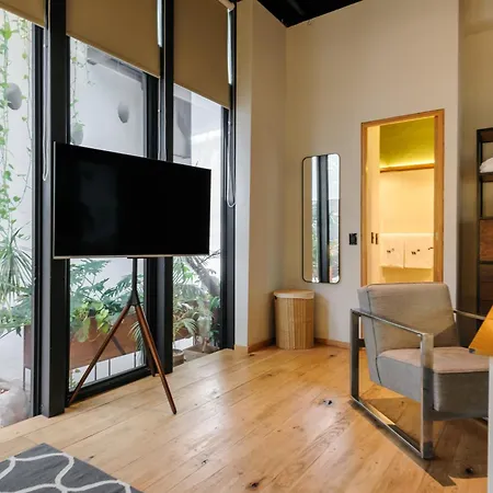 Casa Wynwood Roma Norte-3