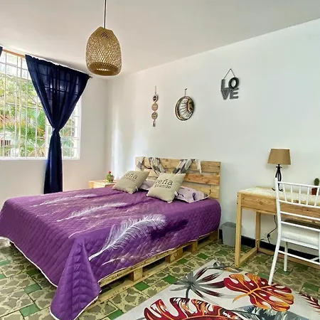 Casa Mandragora-2