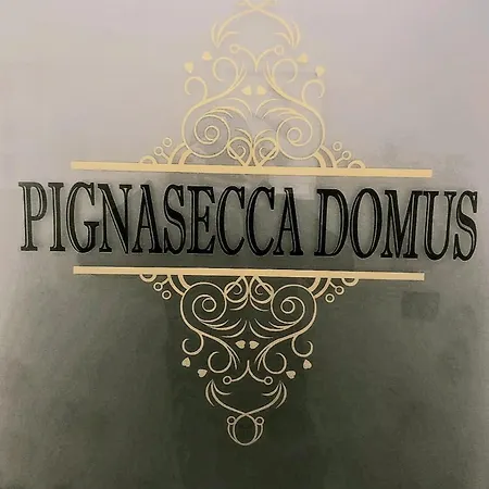 Pignasecca Domus-2