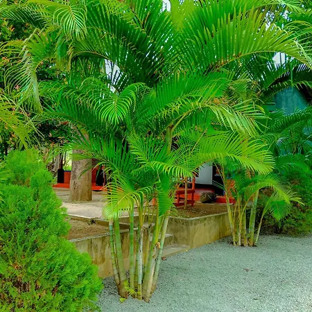 Pride Rock Villa & Tree House-3