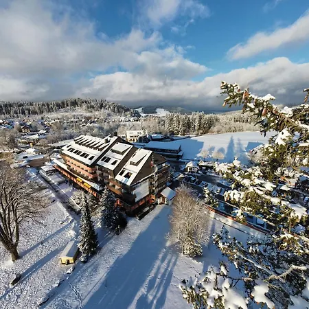 Maritim Titisee Hotel-2