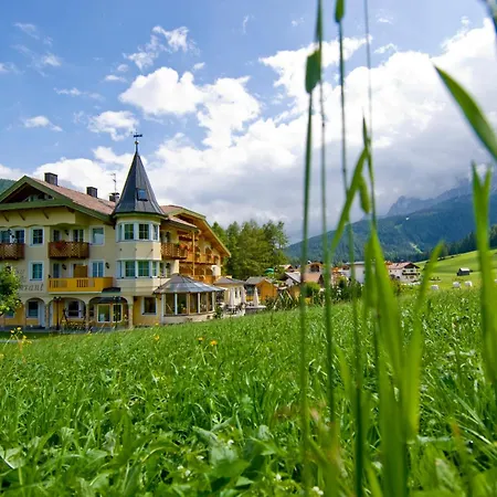 Hotel Willy-3