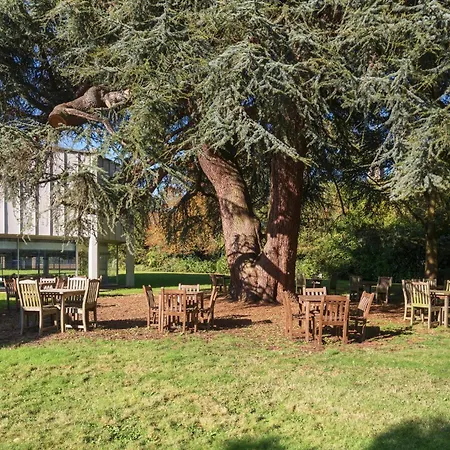 Holiday Inn York By Ihg-3