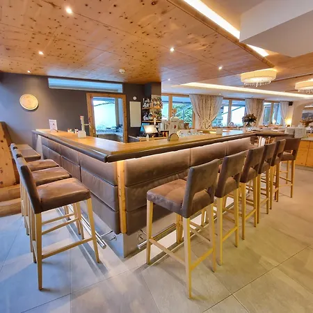 Hotel Alpina Rauris-2