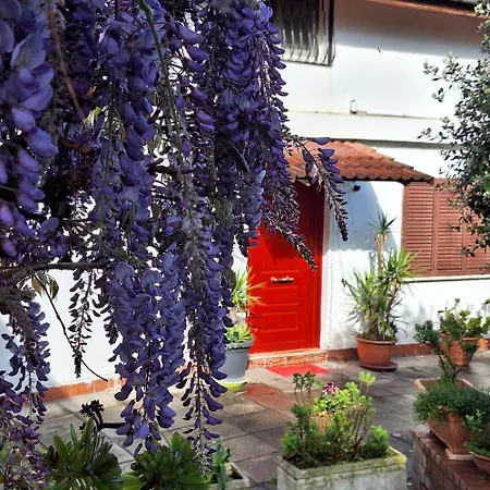 Giallo Limone B&B-3