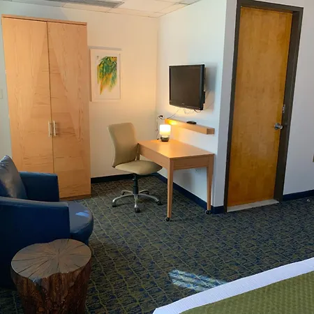 Ficus Hotel-2