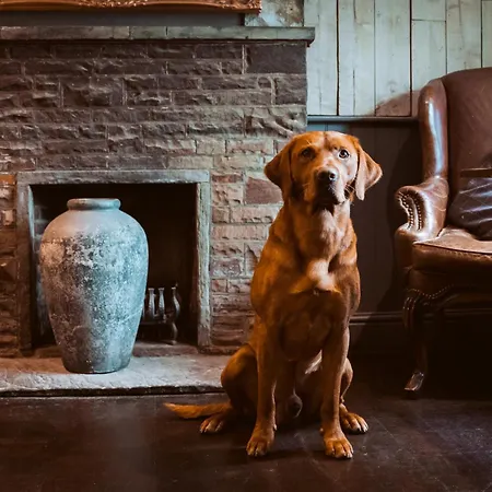 Bulls Head - Holymoorside-3
