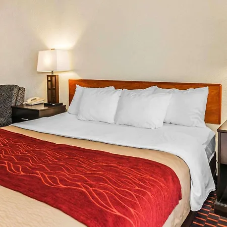 Comfort Inn Avon-Indianapolis West-2