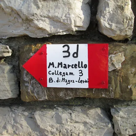 Hotel Del Golfo-3