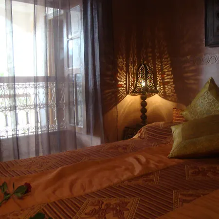 Riad Lorsya-3