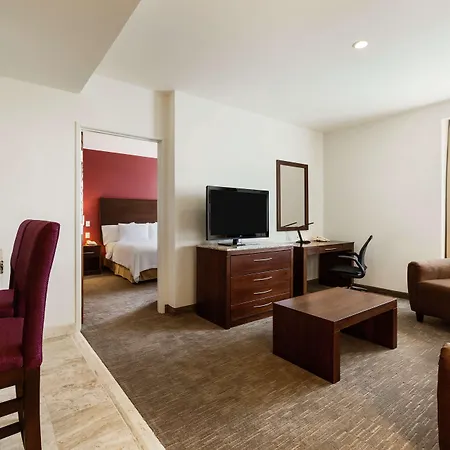 Hilton Garden Inn Queretaro-3
