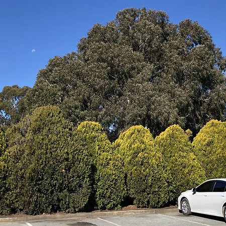 Canberra Lyneham Motor Inn-2