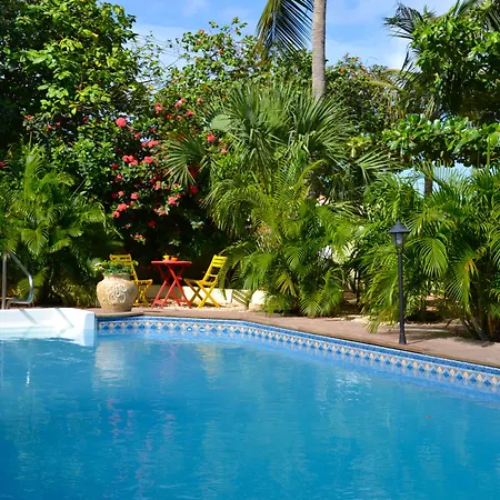 Wonders Boutique Hotel-3