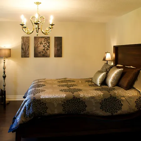 Sapience Retreat & Apothecary-2