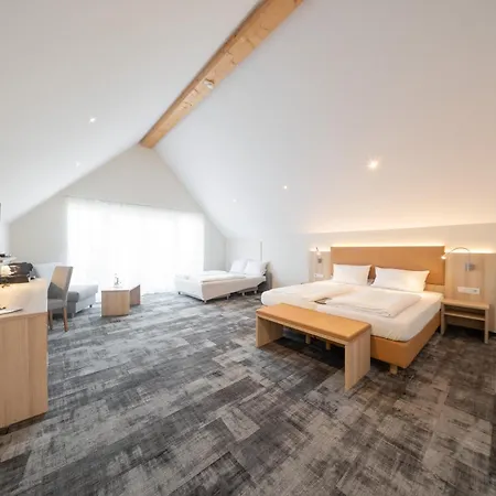 Hotel Adler - Paulas Alb-3
