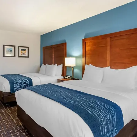 Comfort Inn & Suites Lees Summit - Kansas City-2