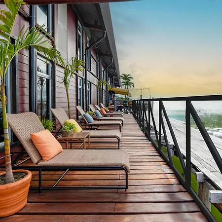 Mayan Monkey Cancun - Social Hostel (Adults Only)-3