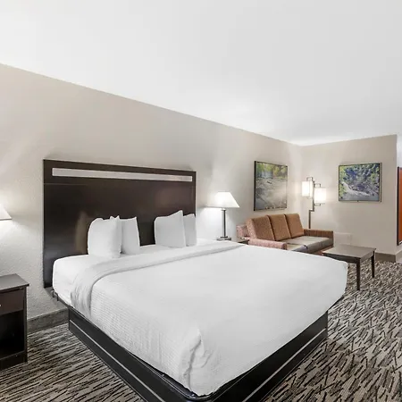 Best Western Plus Mcdonough Inn & Suites-2