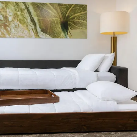 Springhill Suites By Marriott Sioux Falls-2