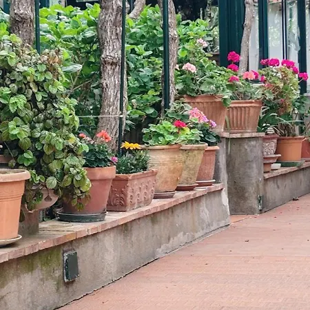 Villa dei fiori B&B-2