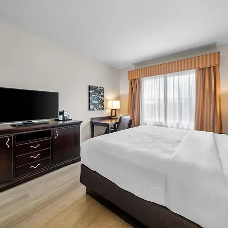 Country Inn & Suites By Radisson, Port Orange-Daytona, Fl-3