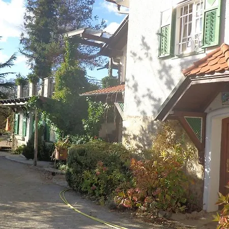 Hirschenhof-2