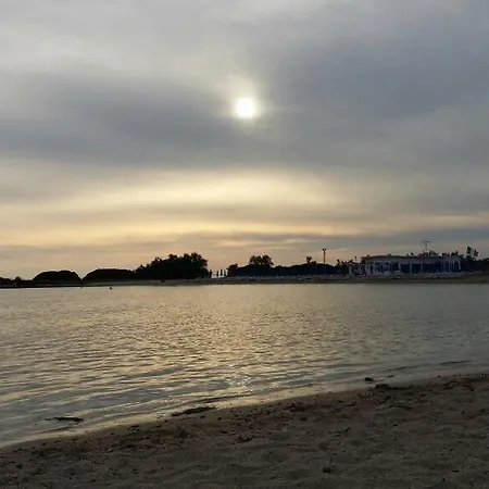 Salsedine-3