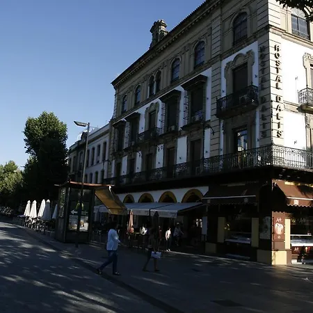 Hostal Dalis-3