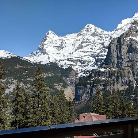 Hotel Alpenblick Muerren-2