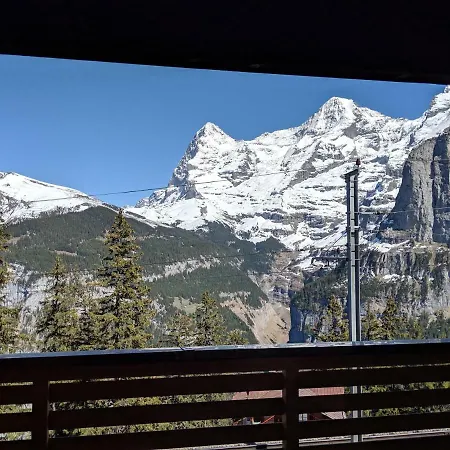 Hotel Alpenblick Muerren-3