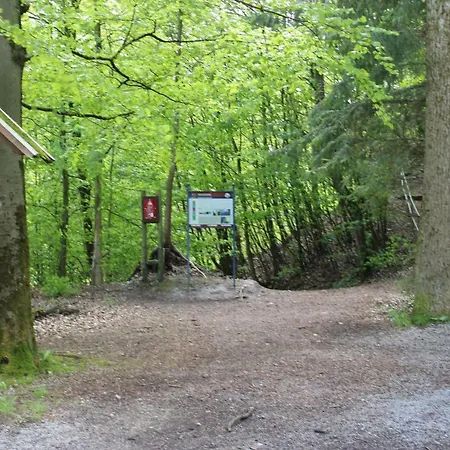Hotel-Pension Waldhaus-2